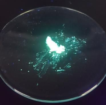 Rel. Fluo. Int (a. u.) Rel. Fluo. Int (a. u.) 4. RASPRAVA I REZULTATI 4.3.