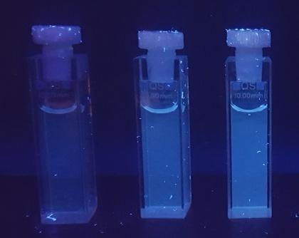 Rel. Fluo. Int (a. u.) Rel. Fluo. Int (a. u.) Abs 4.