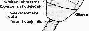 Građa