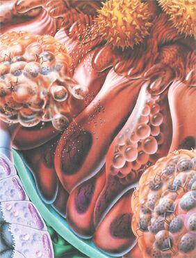 amini histamin