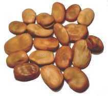 leguminoze 