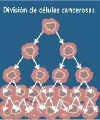 Polo contrario, cando as células dun tumor son capaces de invadir os tecidos circundantes ou distantes,