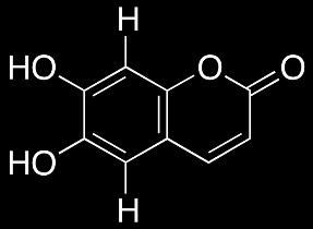m/z 125 P1 Cytisine m/z 243 m/z 164