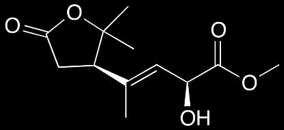 192 m/z 177 P21 9α-Hydroxysophocarpine P24