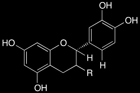 Resveratrol 3-O-ß-glucoside N22_Resveratrol