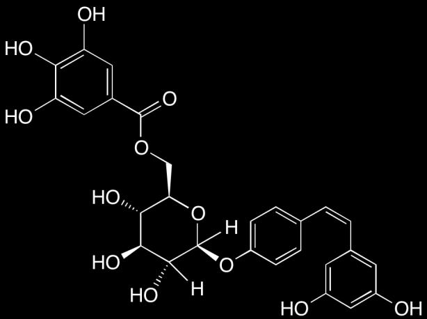 Rhein-8-O-D-[6'-O-(3''-methoxylmalonyl)]