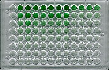 ELISA- Enzyme-Linked ImmunoSorbent Assay Izvodi se u ploči sa 96 bunara (mikrotitar pliča) Biohemijsko/imunološka tehnika koja omogućava detekciju antitela ili antigena u uzorku.