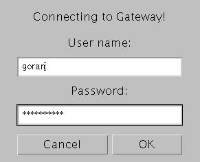 Vsak uporabnik, ob vstopu v ComositeDisplay, mora imeti svoje uporabniško ime (Login name) in geslo (Password). Slika 4.