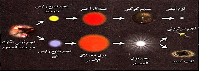 خمطط هريتزبرنغ رسل H-R شاؽ د سح ؽ ١ بح ا غ ؽغت وز ز ب H-R مكونات مخطط ه رتز برنػ رسل 3( النجوم العمالقة و فوق العمالق ( األقزام الب ضاء 1( نجوم التتابع الرئ س نجوم التتابع الرئ س : منحنىى متىد مىن