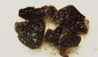 glomalinu (ICP, AAS) González-Chávez C et al.