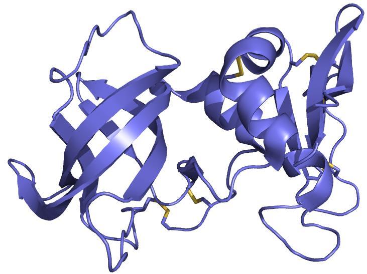 Tkivni inhibitorji metaloproteaz Štirje homologi