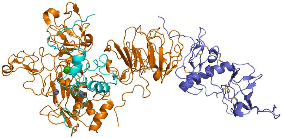 Tkivni inhibitorji metaloproteaz Pro-MMP-2/TIMP-2 PDB