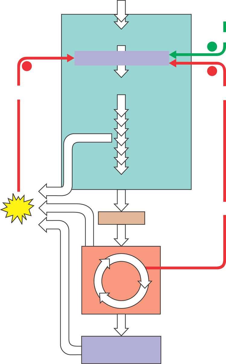 Kontrola staničnog disanja Stanično disanje kontroliraju alosterički enzimi u ključnim točkama metaboličkih putova Najvažniji kontrolni element glikolize je fosfofruktokinaza enzim inhibiraju veće