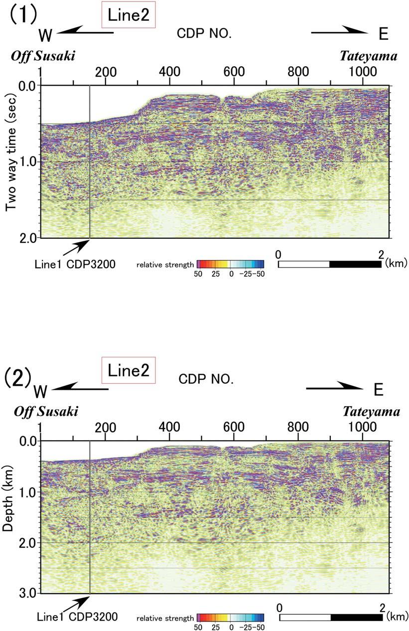 Fig. 0. Seismic sections along Line,.