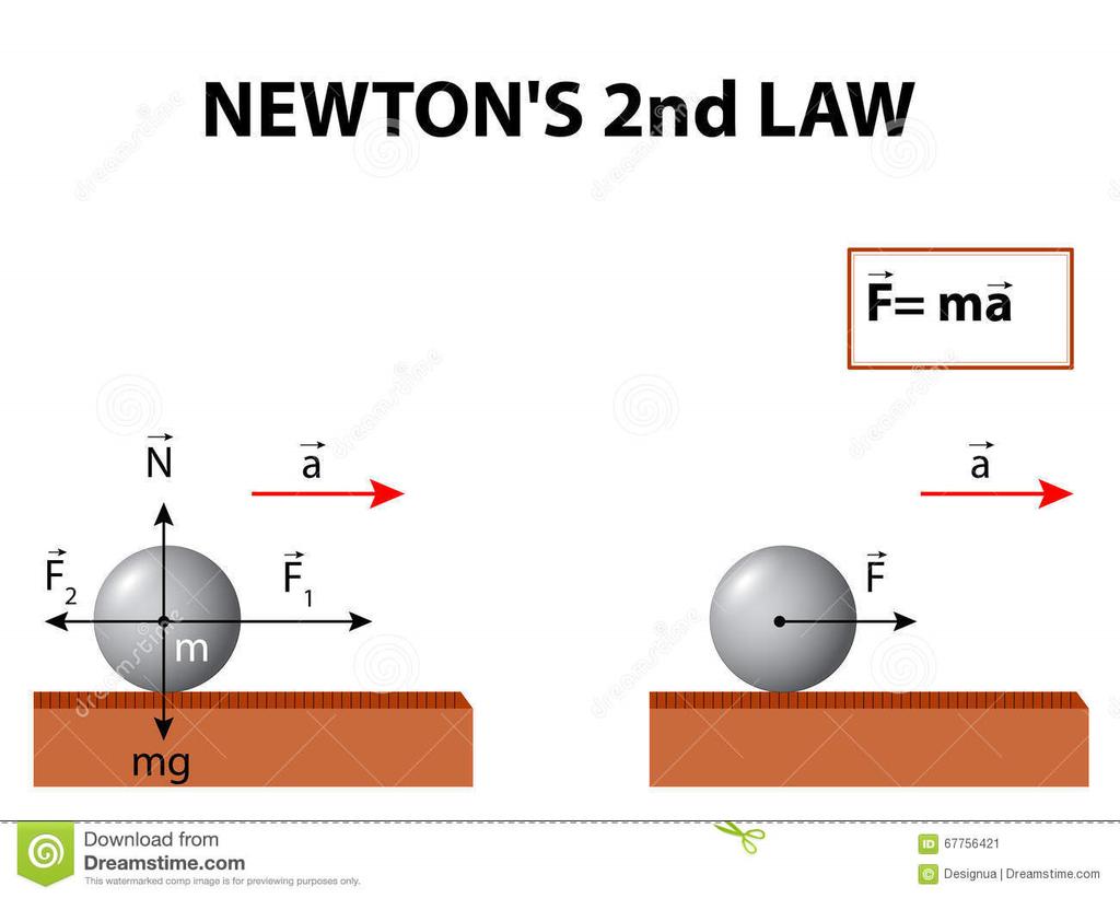 Mësuesi vlerëson nxënësin për shprehitë teorike fizike, matematikore, mjedisore dhe digjitale, praktike, mban shënimet përkatëse për punën në grup të nxënësve, bën vlerësimin në vijueshmëri dhe atë