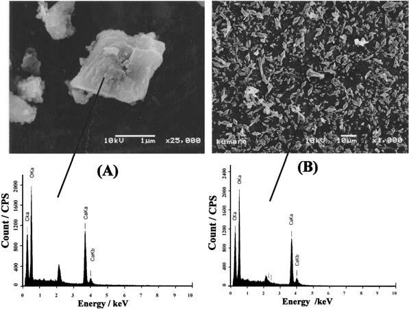 Fig. ++ Examples of SEM photographs with point analyses by EDX of the substance on Nuclepore menbrane