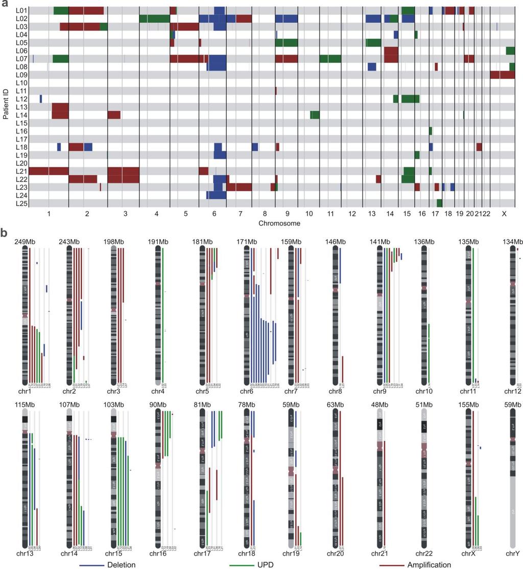 Supplementary Figure 3 Somatic copy-number alterations (CNAs) and uniparental disomies (UPDs) in 25 people with NKTCL, subjected to whole-exome sequencing.