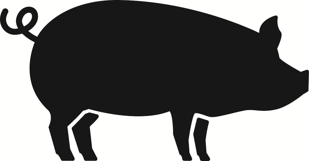 MINIMALŪS DUOMENYS, KURIE TURI BŪTI ANT MAŽŲ PIRMINIŲ PAKUOČIŲ BUTELIUKO ETIKETĖ: LIOFILIZATAS 1. VETERINARINIO VAISTO PAVADINIMAS Porcilis PRRS [Gyvūnų rūšis nurodyta piktogramoje] 2.