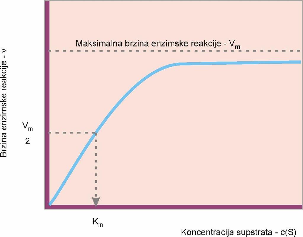 Krivulja koja opisuje Michaelis Menteninu jednadžbu je hiperbola, i velik dio enzima za koji se određuje ovisnost brzine enzimske reakcije o koncentraciji supstrata pokazuje upravo ovakav oblik