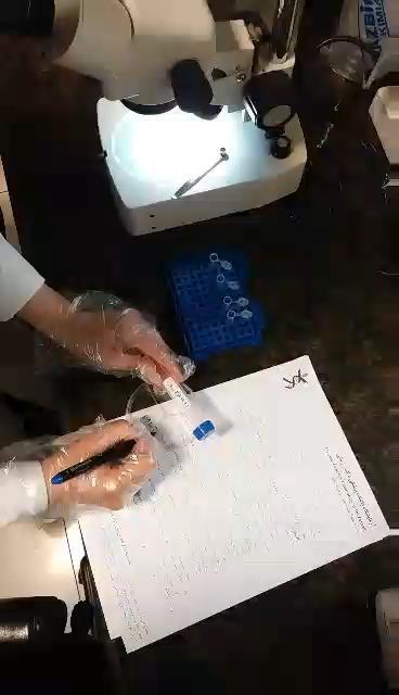 پيشگيري از بروز خطا