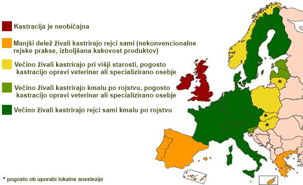 kriptorhidi (vseeno možnost pojave vonja po merjascu) Kastrati imajo tudi slabšo konverzijo krme v primerjavi z