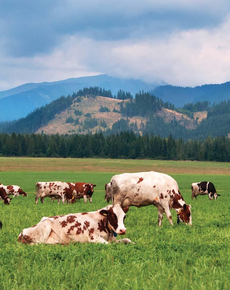 PRODUCT ZÁUJEM O BIO A EKOPRODUKCIU RASTIE spotrebiteľov preferuje organické, naturálne a lokálne výrobky a až 69 % je ochotných si za takéto výrobky priplatiť.