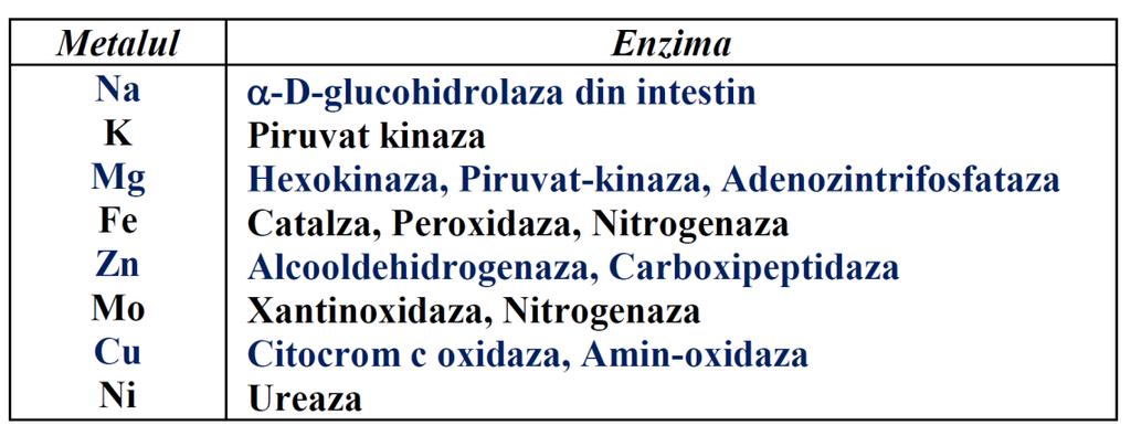 Cofactorii enzimatici anorganici Carter, E. L. et al.