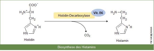 eu/mediatoren-histamin/