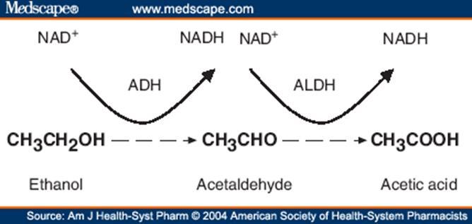 Cofactorii enzimatici organici NAD + și NADP + NAD + Rol metabolic