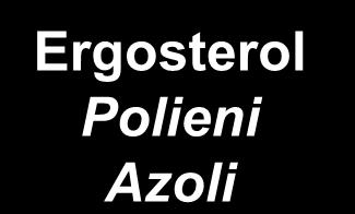 Mehanizmi delovanja antimikotika