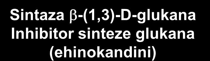 Inhibitor sinteze glukana