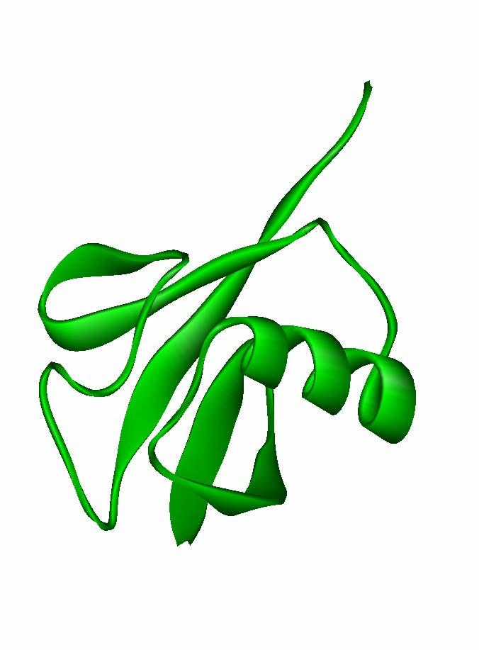 regulatorna enota