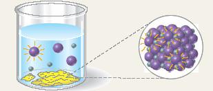 DINAMIČKA RAVNOTEŽA Homogena ravnoteža ako su reaktanti i proizvoi reakije u istoj fazi Heterogena