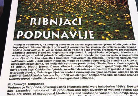 Ne sa mo eko nom ski vaæni, jer proiz vod nja slat ko vod ne ri be do ra ta je bi la uno san po sao, rib nja ci su, po seb no na kon Ram sar ske kon ven ci je, bi li pre poz na ti kao vrlo vri jed na