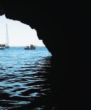 U Hr vat skoj su poz na ta podruëja en demië nih vr sta Ve le bit, Bio ko vo i Du bro vaë ko pri mo rje te viπ ko otoë je.