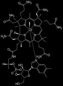 B12 as Methylcobalamin form הצורה הפעילה של ויטמין b12 אשר אינה דורשת המרה בגוף. צורה זאת מנוצלת באופן יעיל יותר על ידי גוף האדם. מאפשרת צבירה רבה יותר של b12 בכבד.