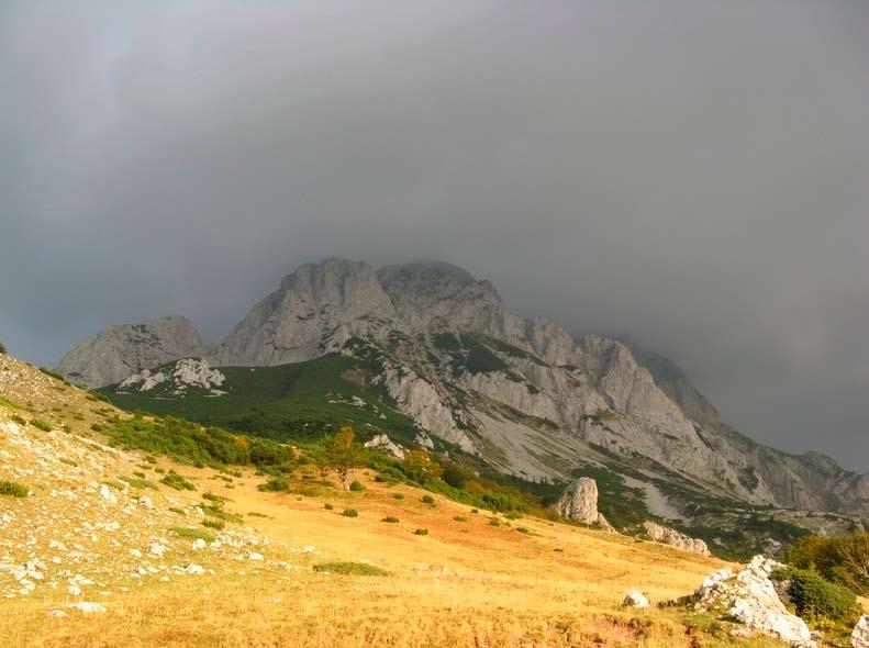 46 Planinarski vidikovac NA KROVU BOSNE I OKU CRNE GORE Kakav je ovo nacionalni park u kojem se eksploatiše šuma i uništava sve što dođe ispod teških, traktorskih guma? A zabranjeno logorovati?