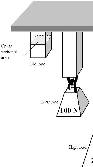 force cross sectional area cm x cm =0.0004m 4cm x 4cm =0.