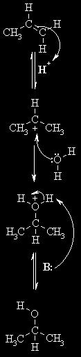 Attack of the nucleophilic water molecule on the electrophilic carbocation creates an oxonium ion.