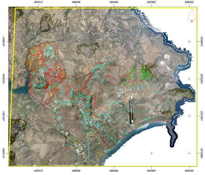 Forest Maps