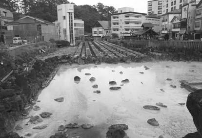 cm - TOC, TN, TC TS Fisons Photo + Yubatake hot spring source in Kusatsu hot NA,/** Automatic