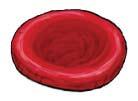 Raudonieji kraujo kūneliai eritrocitai Raudonieji kraujo kūneliai (eritrocitai) sudaro didžiąją kraujo ląstelių dalį. Eritrocitai yra raudonos spalvos, abipus išgaubto disko formos.