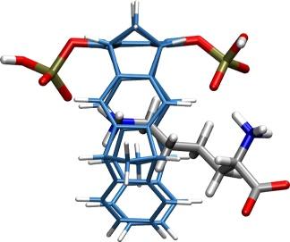 optimized QM/MM structures with