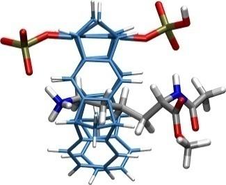 guest molecule as well).