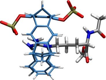 and arginine derivatives (without counterions) optimized by QM/MM