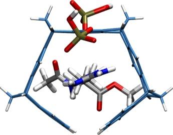 In each host-guest complex of the tweezer1a there are two