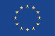 UNIUNEA EUROPEAN~ GUVERNUL
