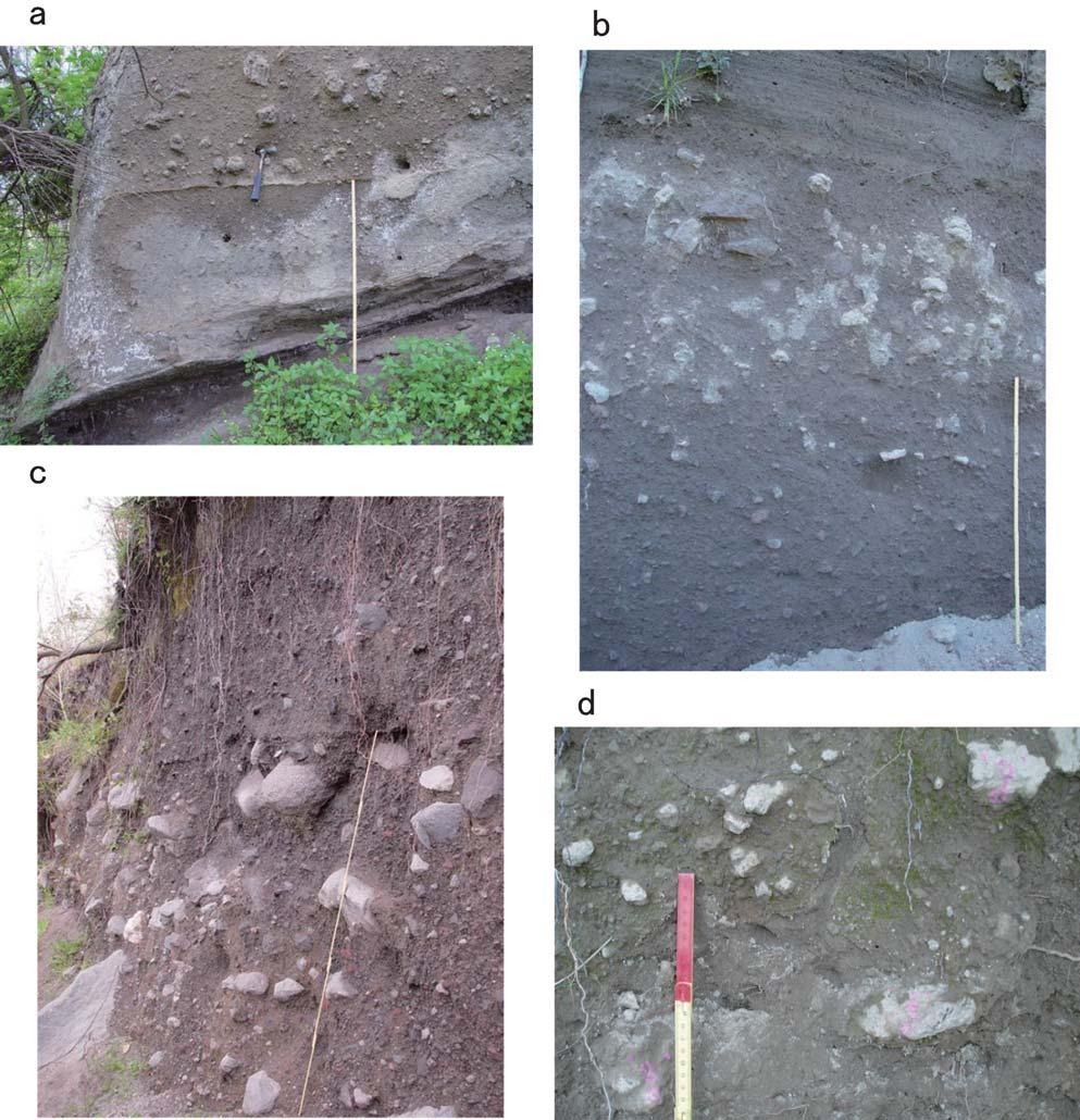 Fig. -. Photographs of the sampled exposures at location (a), location (b), location (c) and location (d).. /* /** /** -*.