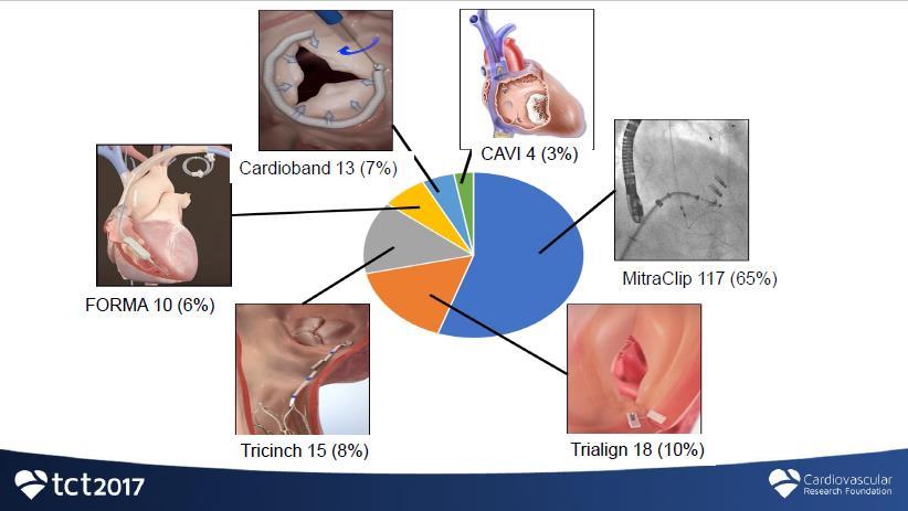 Interventional Tricuspid Valve