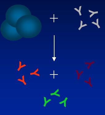 Flow Cytometry και CM Προετοιμασία δείγματος Κύτταρα